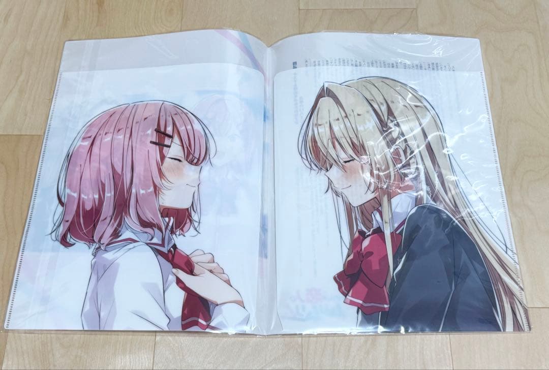 わたしが恋人になれるわけないじゃん アニメイト特典 クリアファイル　みかみてれん