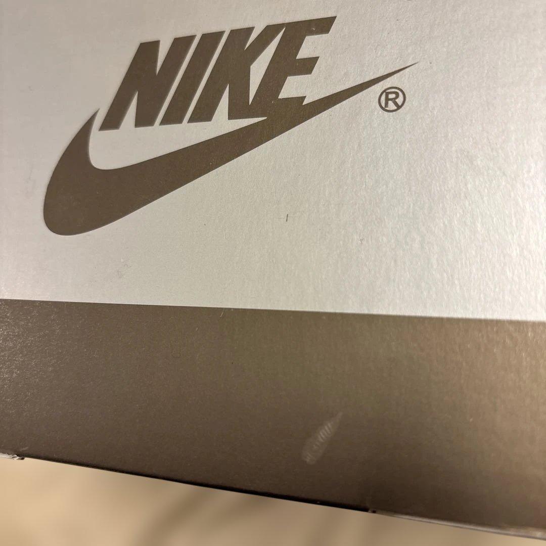 MEDICOM TOY×NIKE SB GINO IANNUCCIフィギュア限定