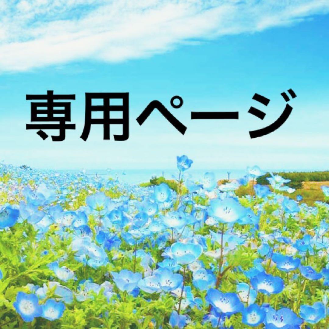 ケイページ 聖闘士星矢 クラーケンスケイル、クリュサオルスケイル