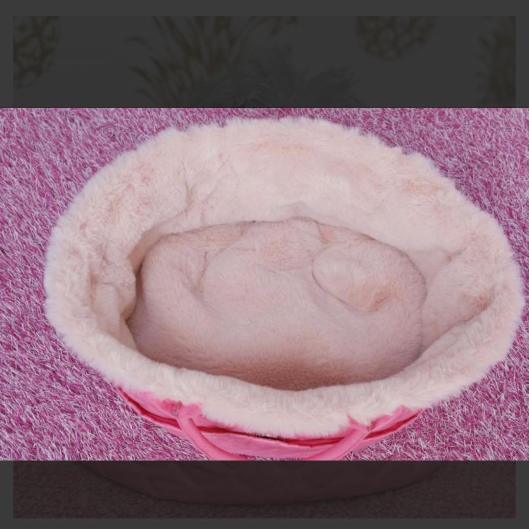 FA-FA×Luxebirdie 20thスリーパーファーバッグ キャリーバッグ