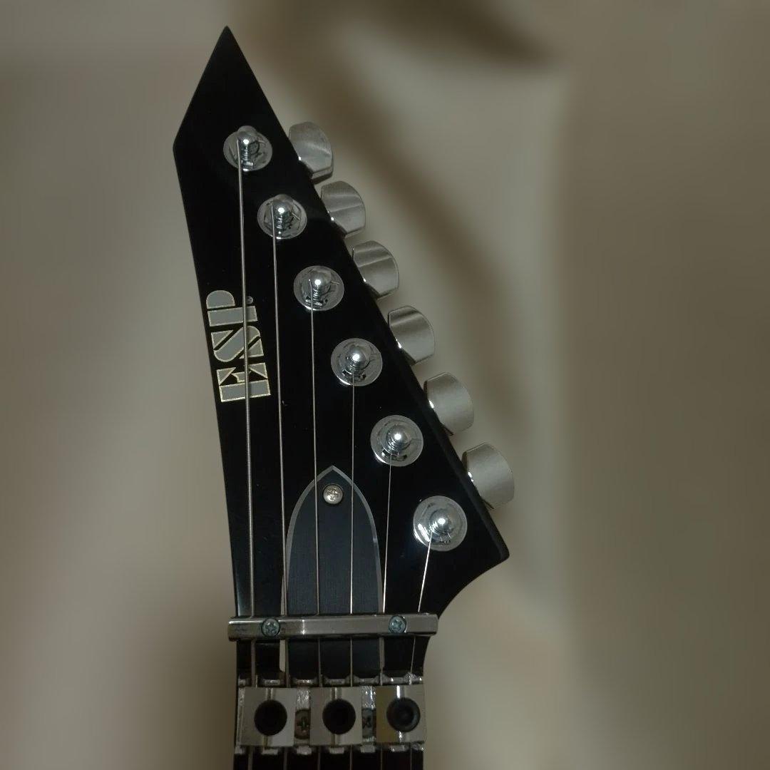 ESP MAVERICK マーベリック チタンメタル ローズウッド