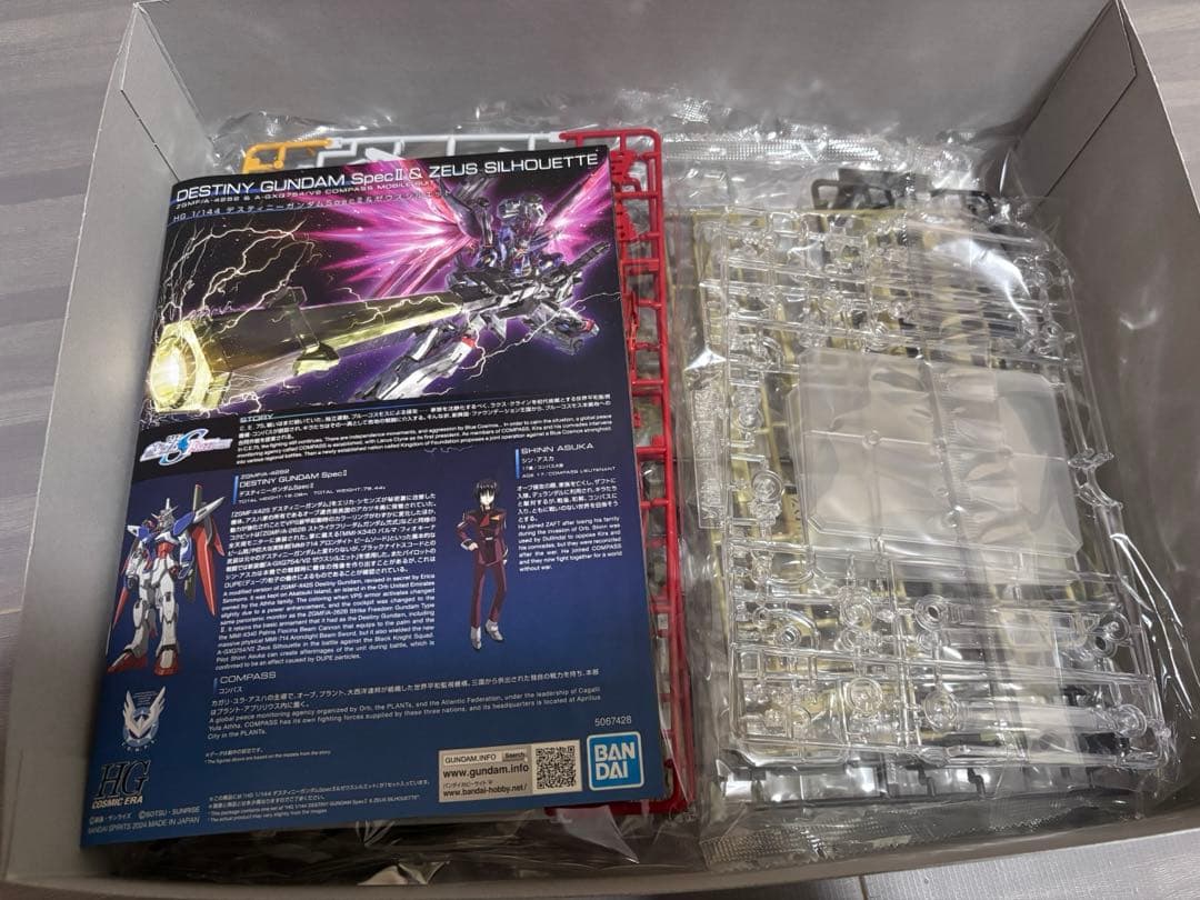 HGデスティニー&ゼウスシルエット(ゼウスシルエット単品)