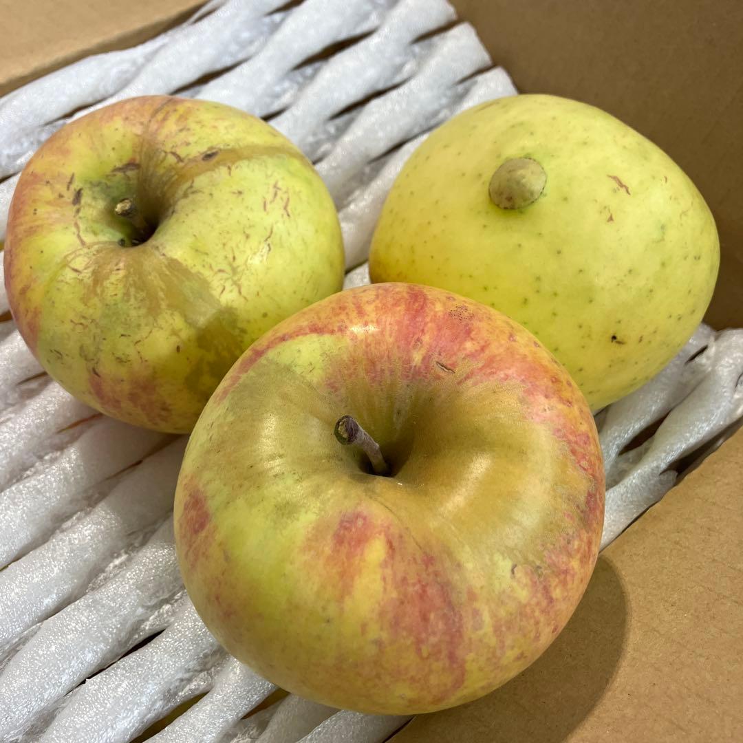 まねきねこ　名月　家庭用7kg贈答7kg