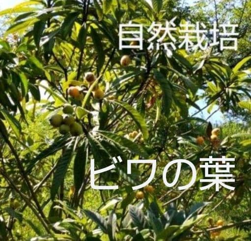 乾燥葉 乾燥野菜 ◎セミオーダーページ◎ ウサギ ハムスター リクガメ 他