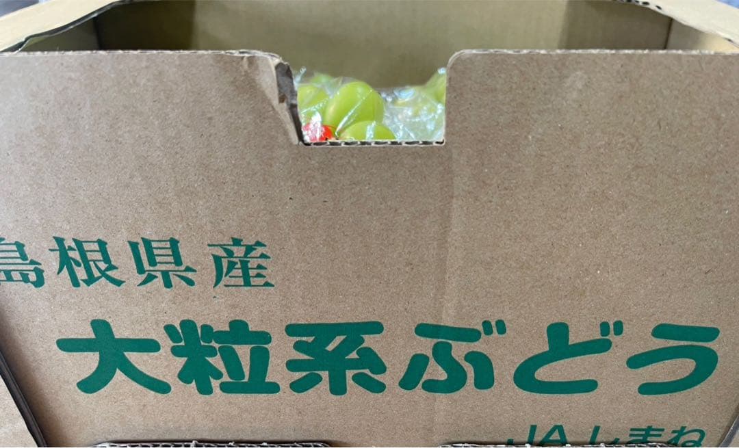 ② 【島根県産】シャインマスカット約5キロ(8房)