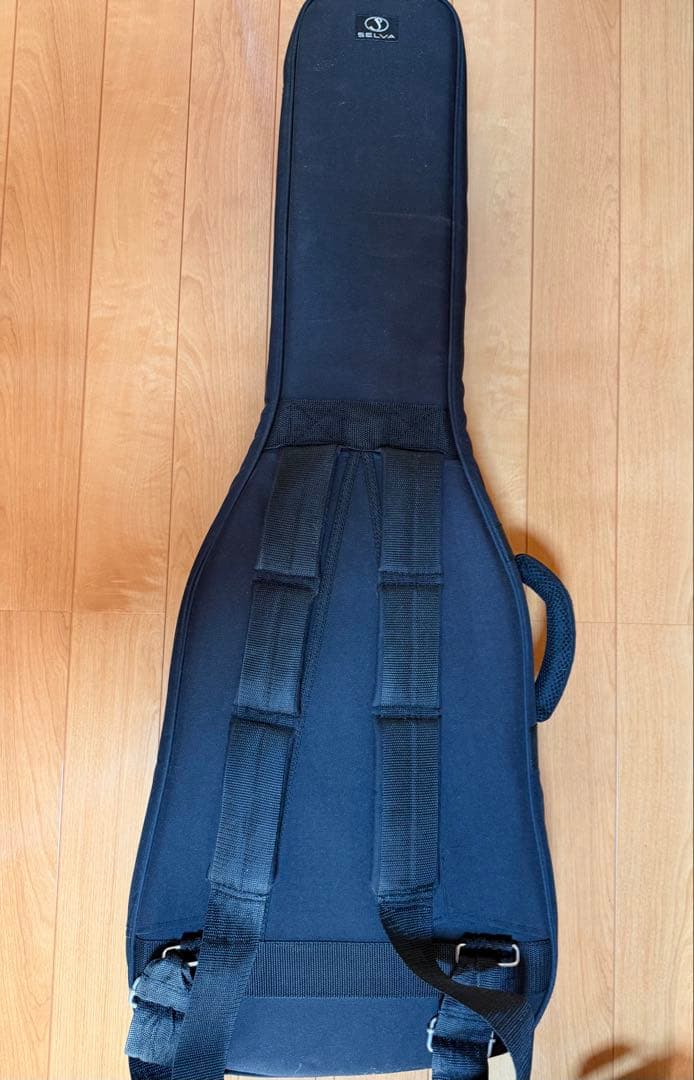 SCHECTER PROGAUGE PS-S-PT ロック式ペッグ交換済み品