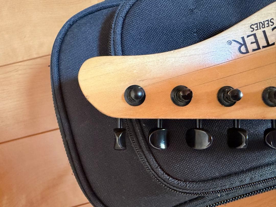 SCHECTER PROGAUGE PS-S-PT ロック式ペッグ交換済み品