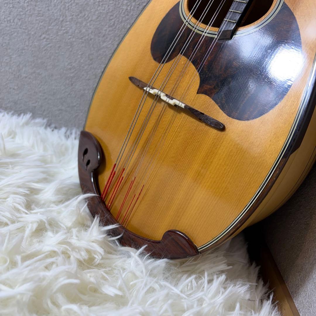 【極美品】SUZUKI マンドリン　M-30 ハードケース　スズキ