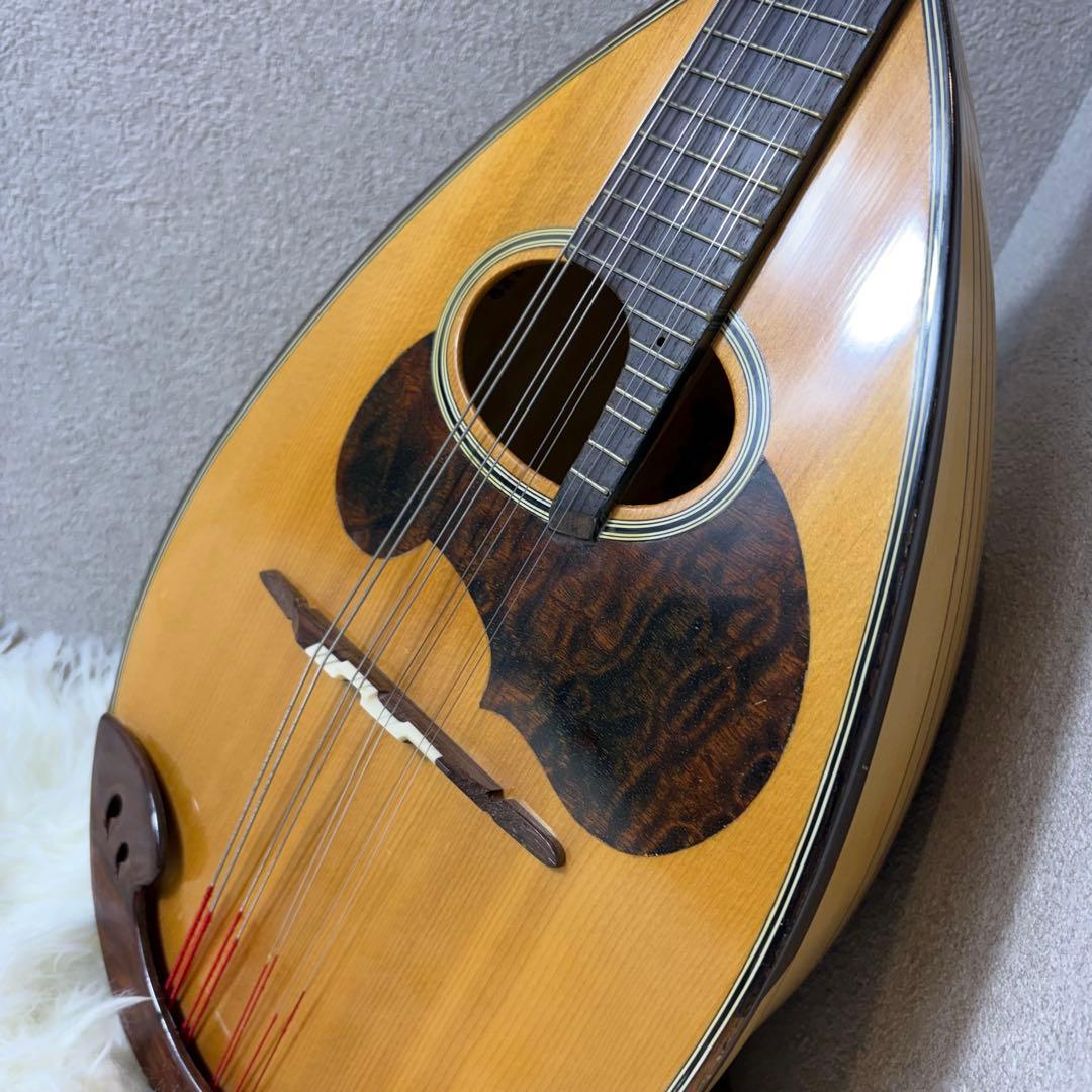 【極美品】SUZUKI マンドリン　M-30 ハードケース　スズキ