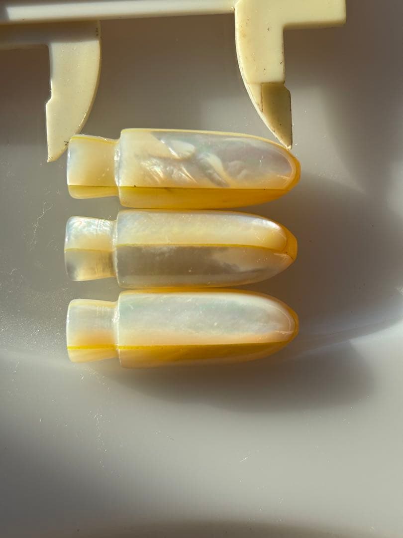 トローリングヘッド　天然貝