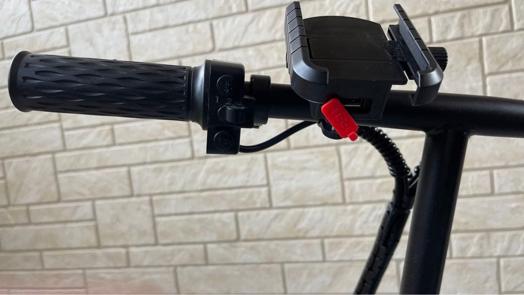 (たけし)電動自転車　48V/15ah