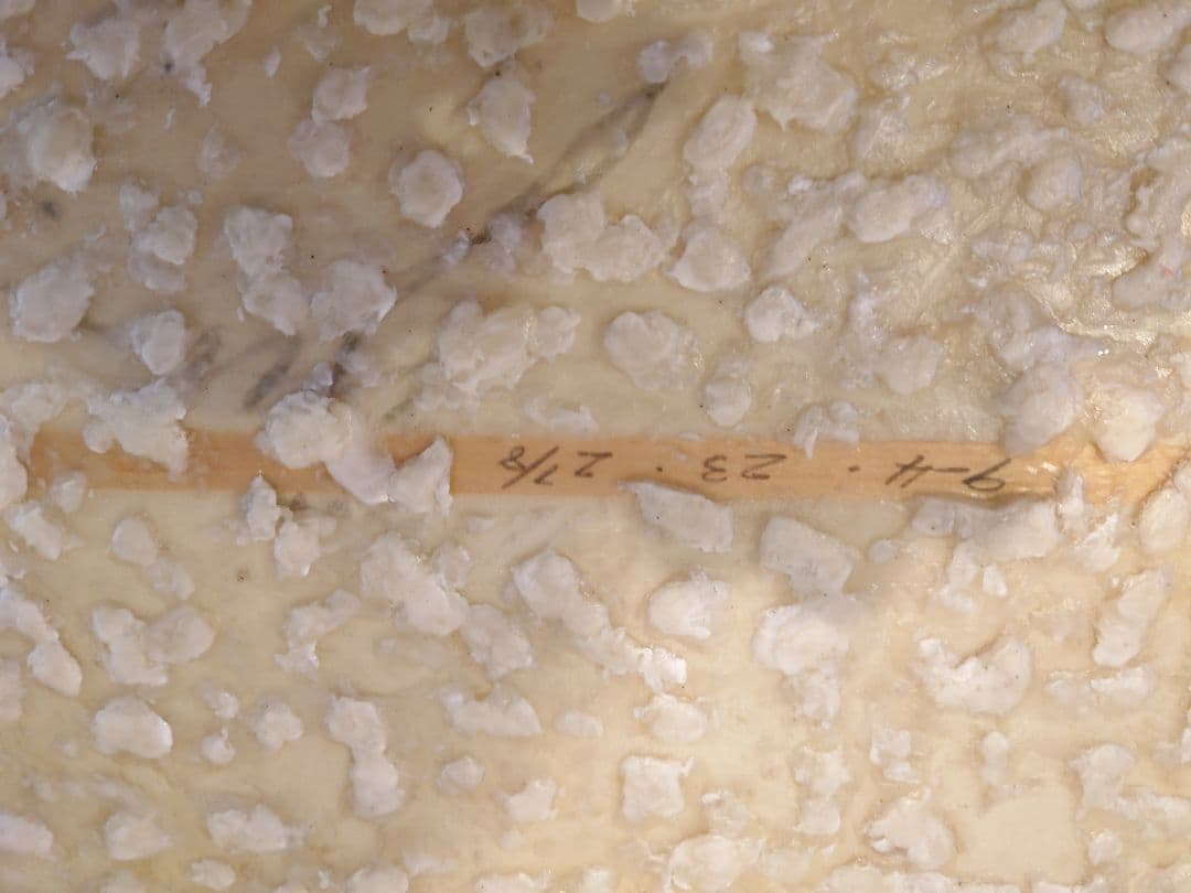 yuロングボード　長期保管の為、格安スタート