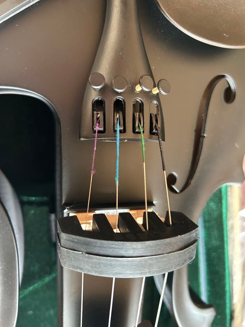 美品 Hallstatt ハルシュタット エレキバイオリンCV-210Eブラック