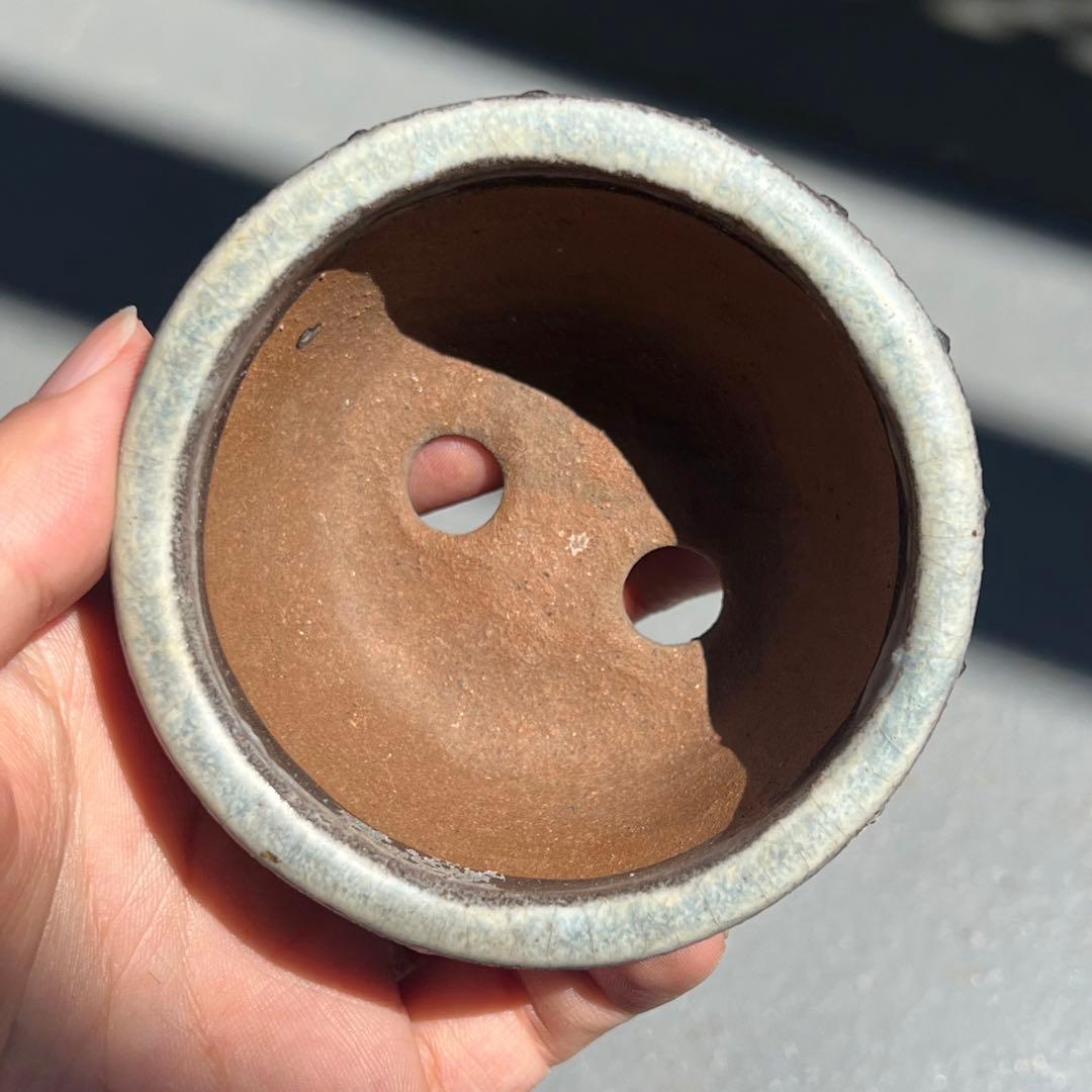 781.暁雲 鼓釘丸鉢 盆栽鉢 植木鉢 8.4*4.3cm