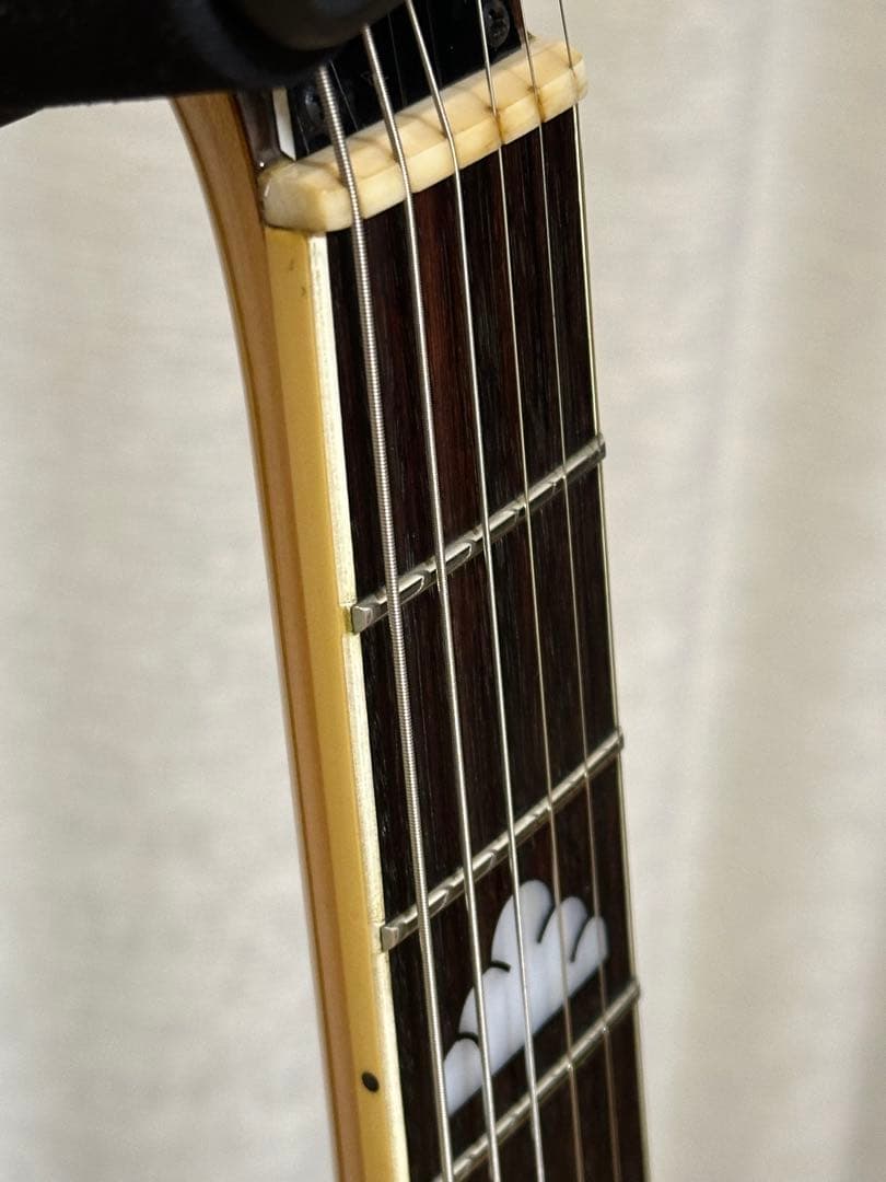 Fernandes BURNY MG-80X （MG-120X）BLK