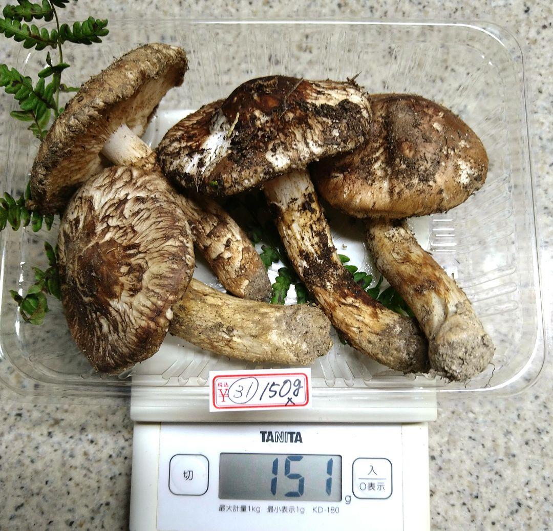 31.南信州産松茸約150g（パック込み）