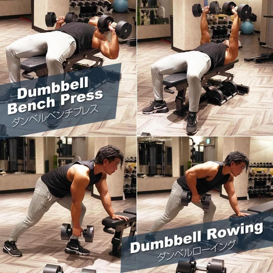 フレックスベル 20kg 単品 (NUO 正規代理店品) 可変式ダンベル 筋トレ