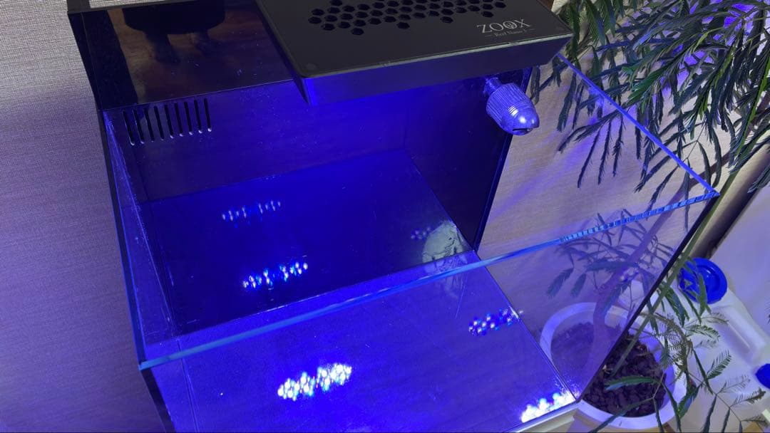 オルカ shell2 オールインワンシステム水槽