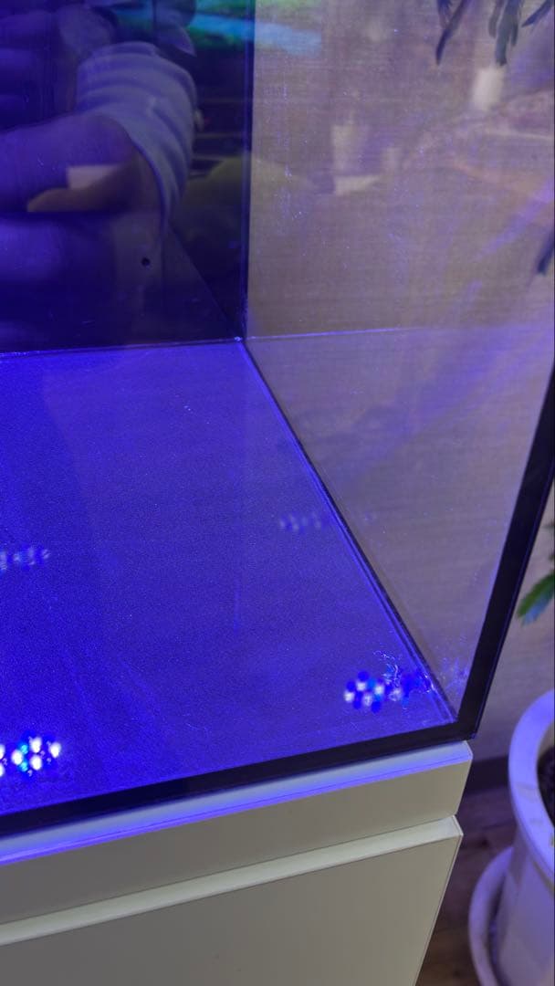 オルカ shell2 オールインワンシステム水槽