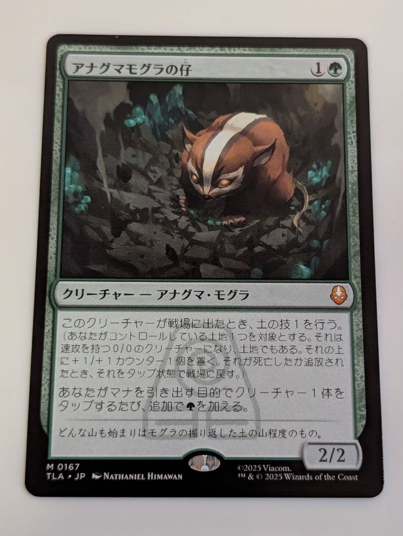 MTG　アバター:伝説の少年アン　アナグマモグラの仔　日本語