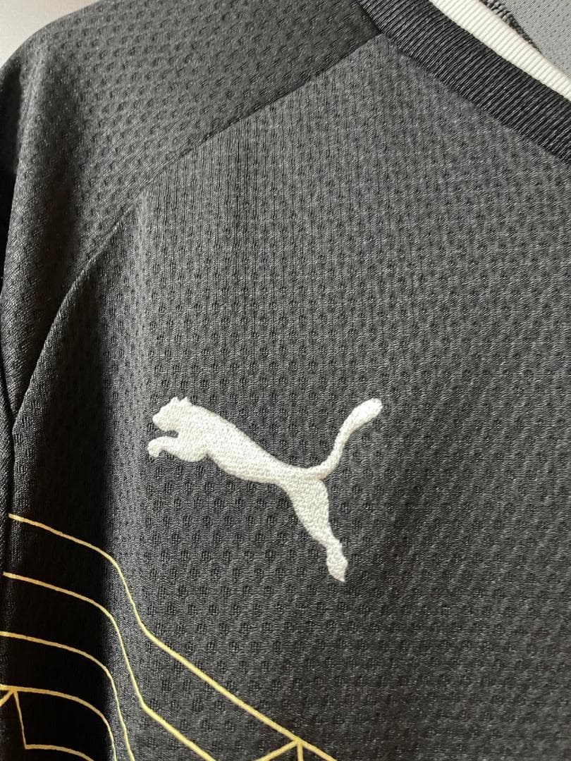 川崎フロンターレ 2013 トレーニングマッチ用ユニフォーム 長袖 選手実着用品