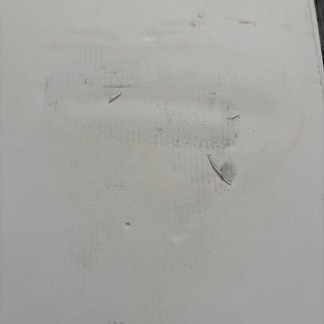 Fate/Samurai Remnant アニメイト特典　ジャンヌダルク