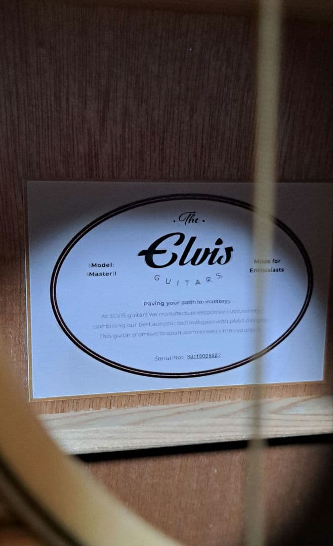 ✨美品✨Elvis 　Master 1　アコースティックギター 　ソフトケース付