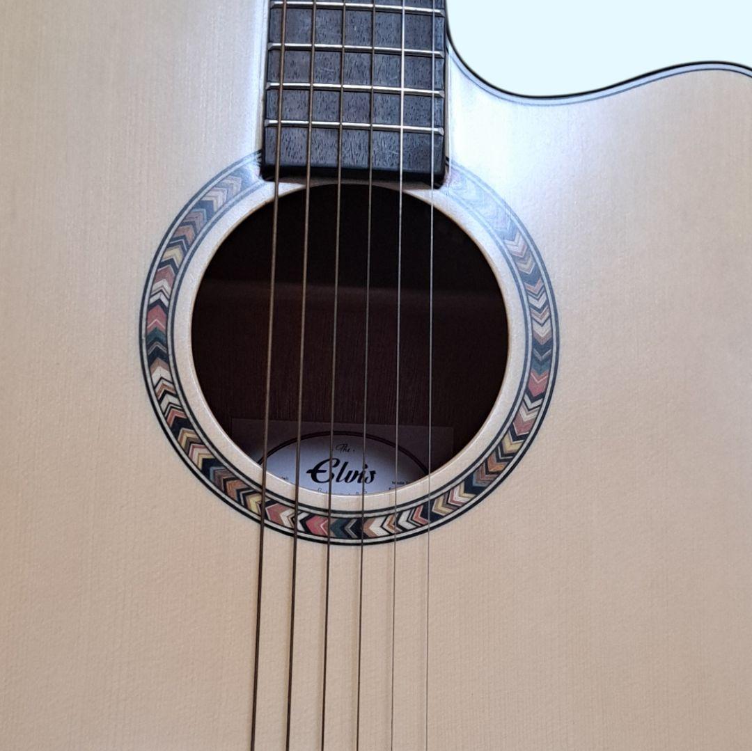 ✨美品✨Elvis 　Master 1　アコースティックギター 　ソフトケース付