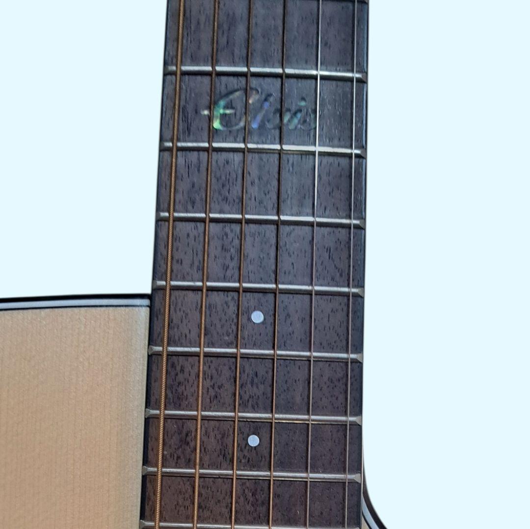 ✨美品✨Elvis 　Master 1　アコースティックギター 　ソフトケース付