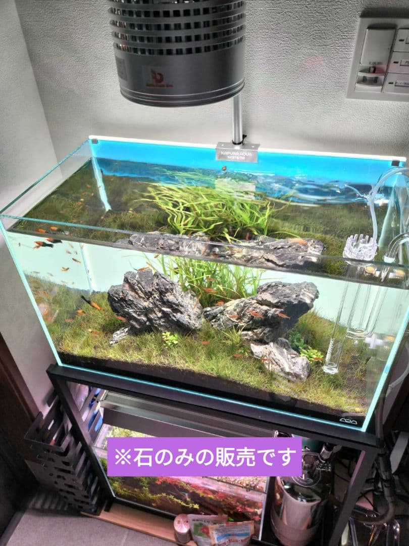 龍王石　4つセット　親石