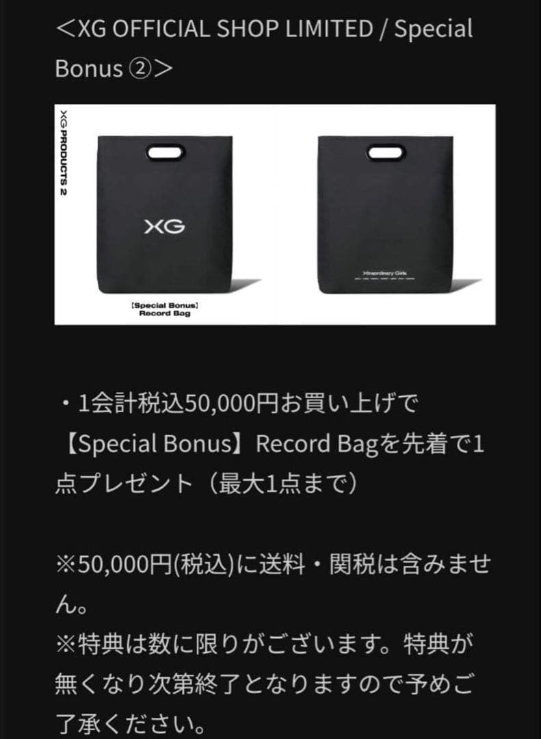 XG record Bag レコードバッグ