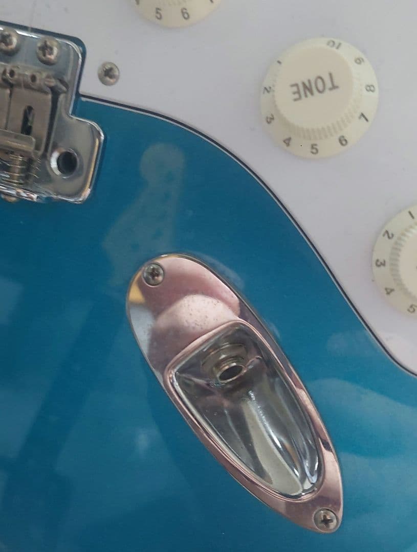 CoolZ ZST-V/R フジゲン（FGN )製