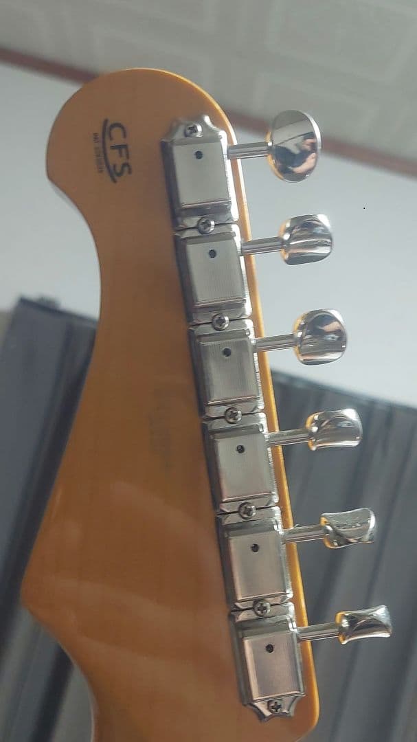 CoolZ ZST-V/R フジゲン（FGN )製