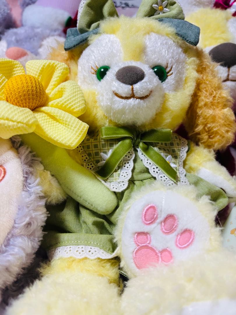 【お顔厳選】上海ディズニー　抹茶クッキーアンぬいぐるみ SSサイズ