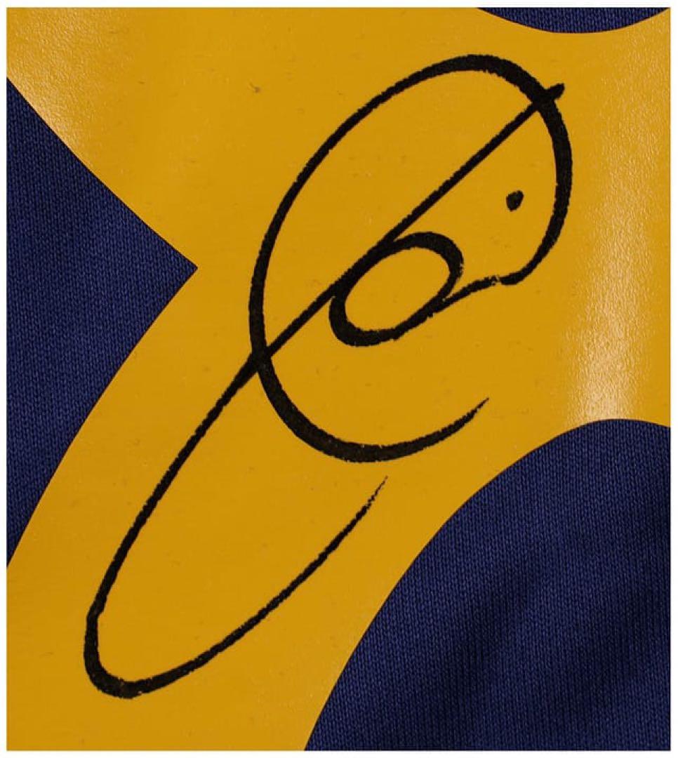 XAVI 8 スペイン代表 ジャージ 2010 ベケット鑑定済