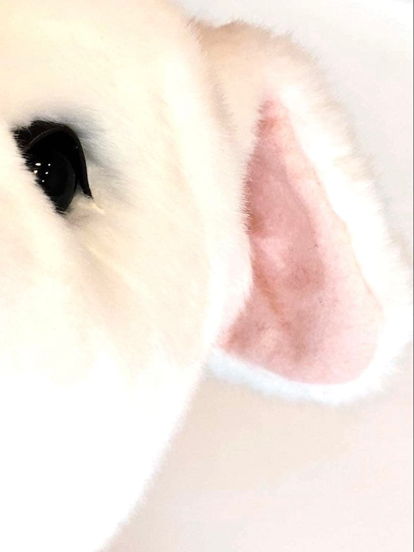 アルプスの少女ハイジ展　等身大　ユキちゃん　ぬいぐるみ　希少品