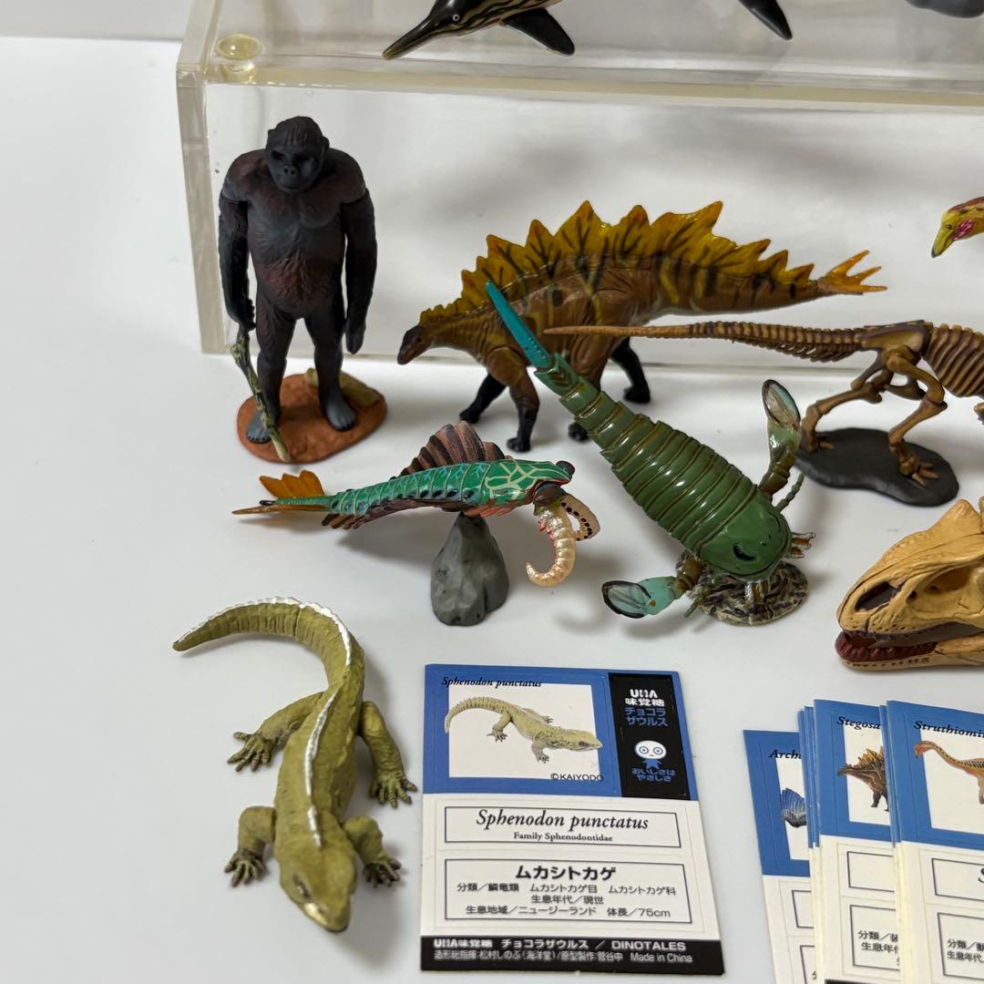超リアルな恐竜・古代生物フィギュア チョコラザウルス UHA味覚糖 まとめ