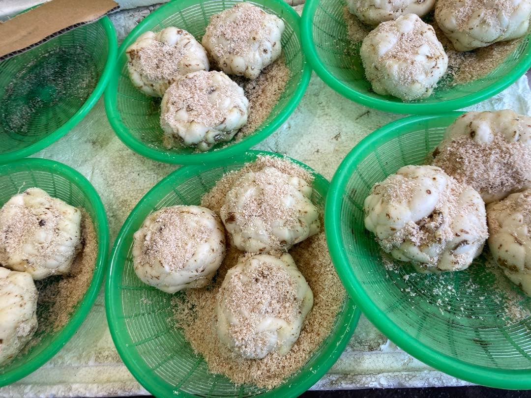 新鮮 ゆり根 ２Lサイズ　33個入り　ゆりね　百合根　北海道産