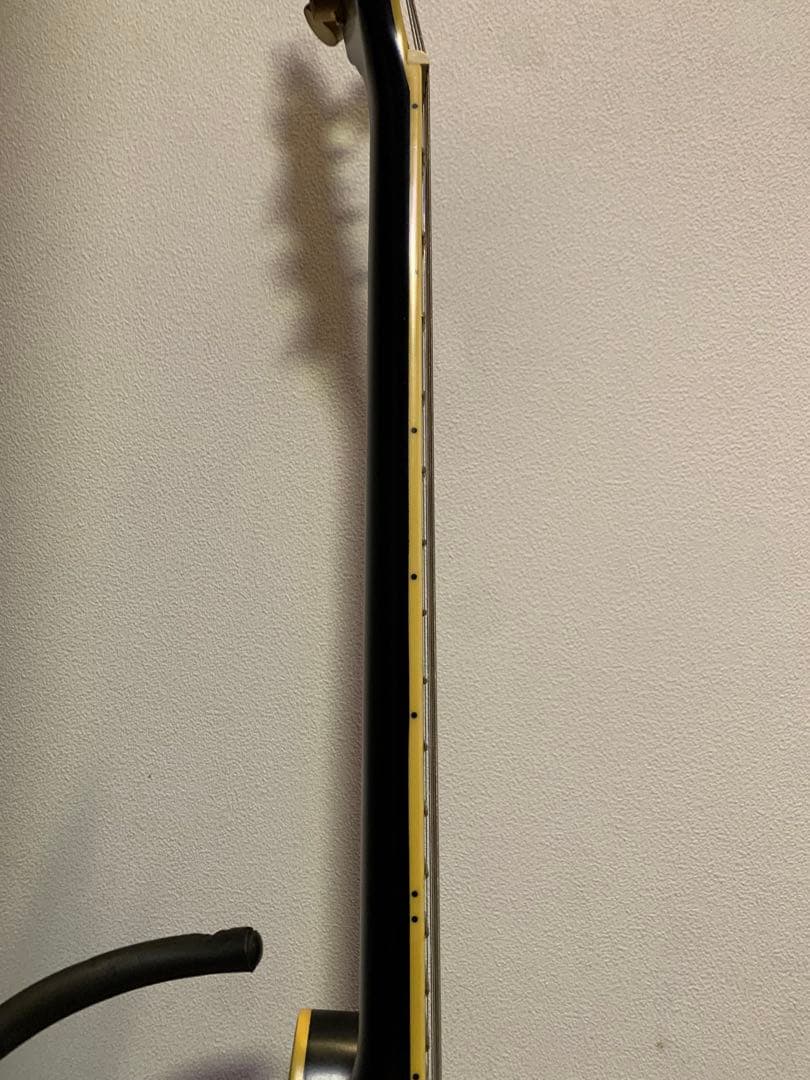 ギター Epiphone Emily Wolfe Sheraton Stealth