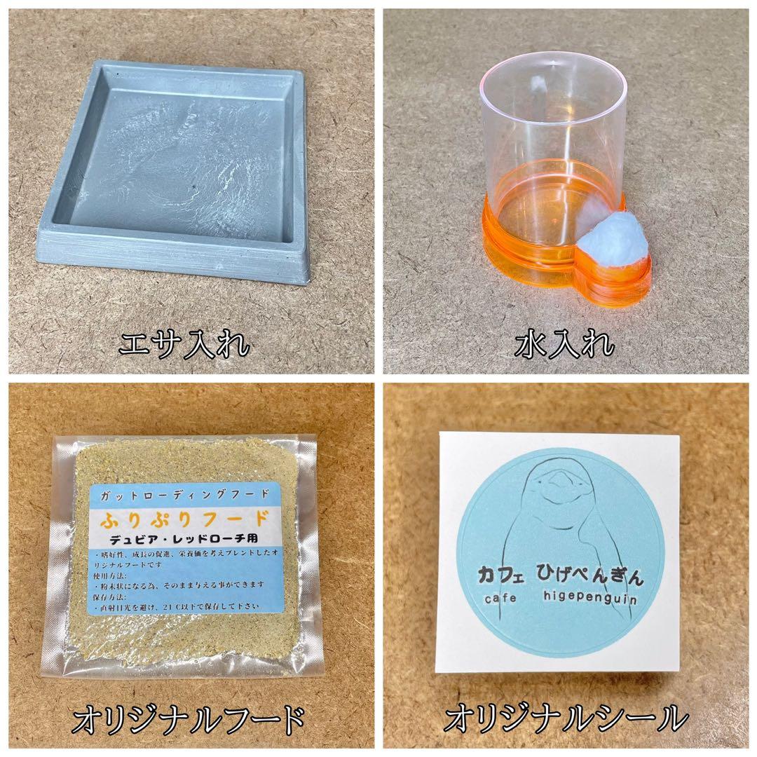 山岸哲也様　M (エ、水、シェ×2)