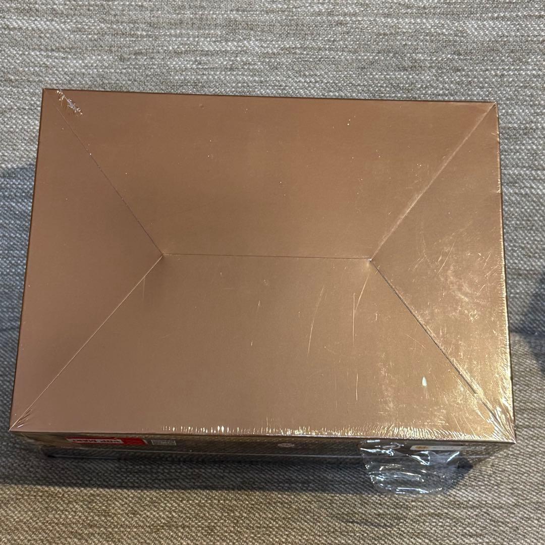 新品SKULLPANDA Everyday Wonderland Preachy