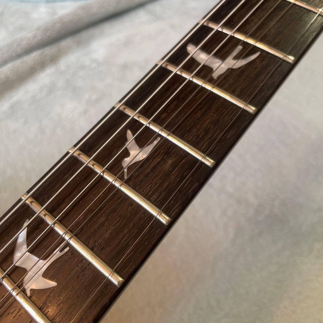 PRS SE Custom22, Skel-zoアンプセット