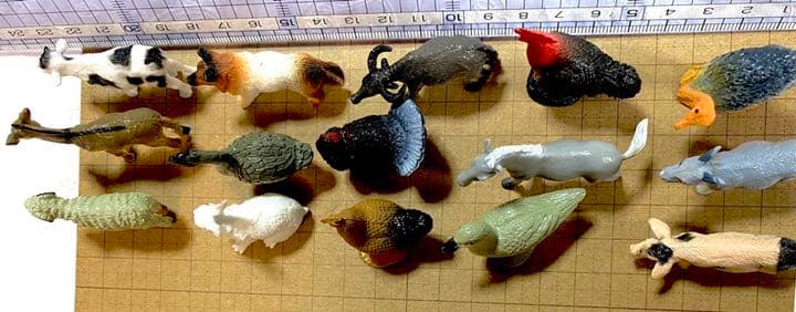 牧場の動物  の サイズ見本です《見本》