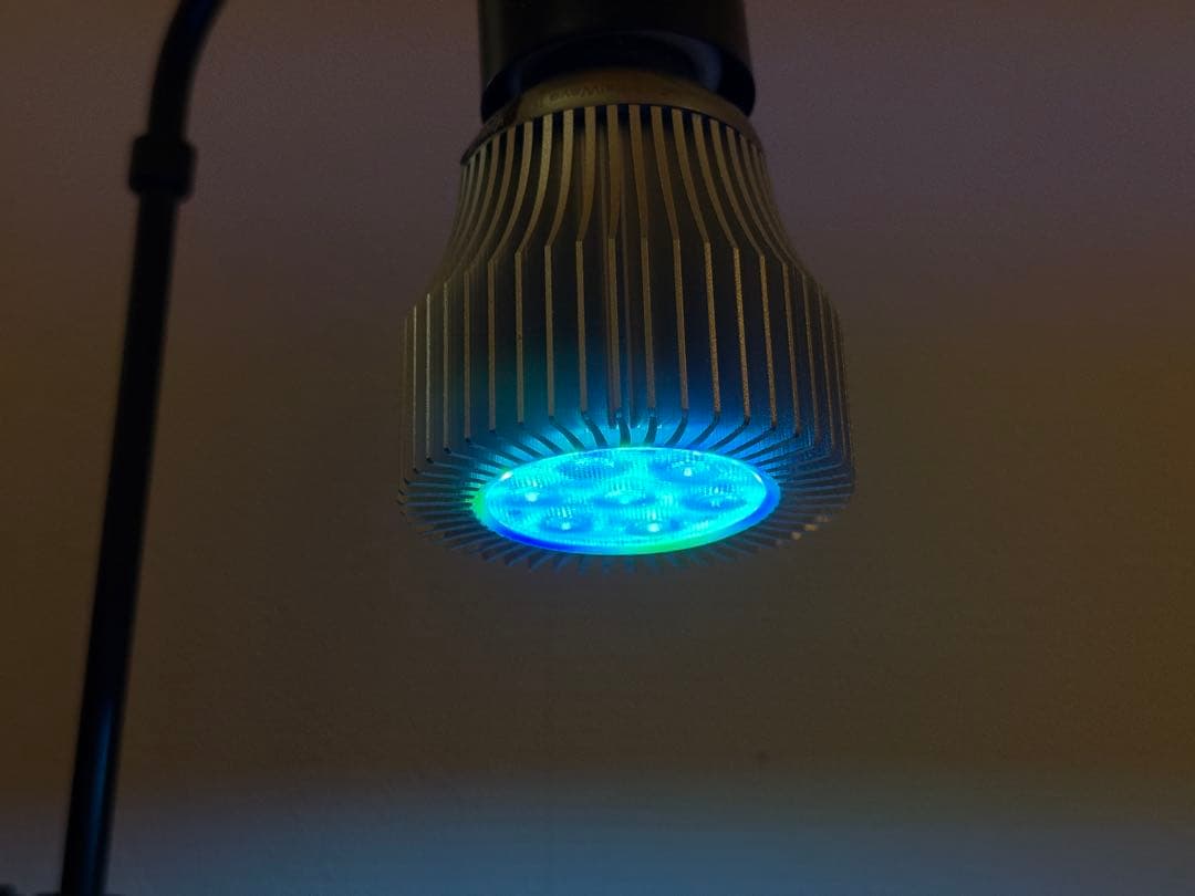 特別仕様 バイタルウェーブⅡ改 ワイドバントブルー