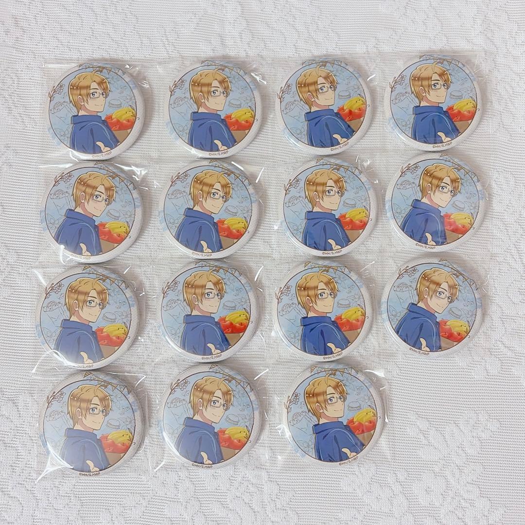 ヘタリア Webくじ HolidayMarche アメリカ 缶バッジ 15点