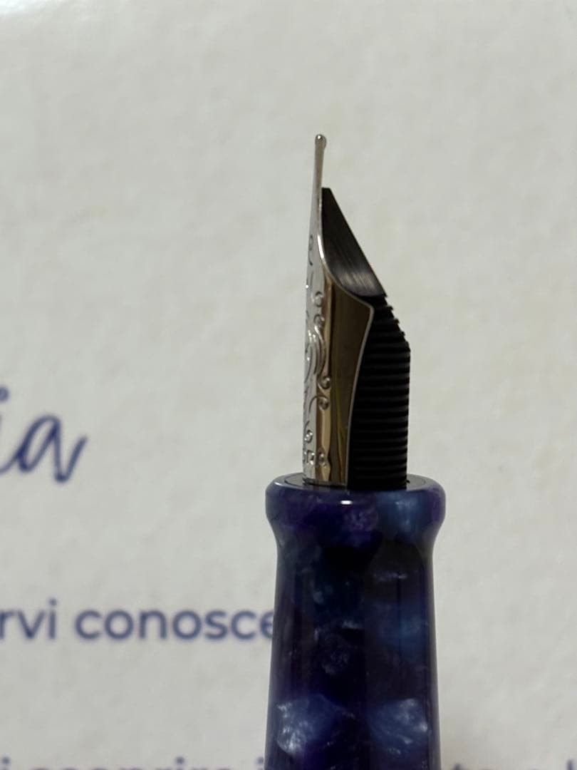 アウロラ 高級万年筆 バイアディナポリ F