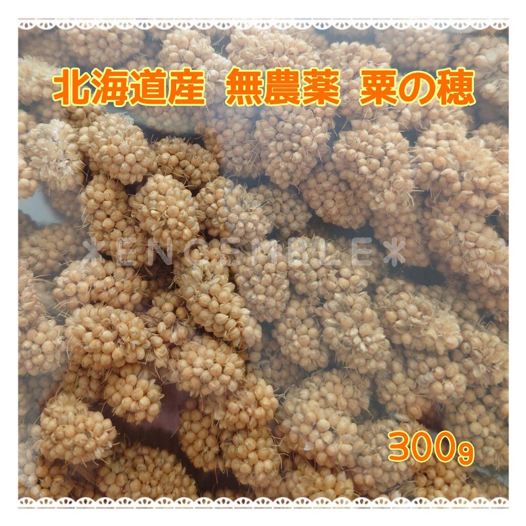 オーダー専用【北海道産】令和3年度 無農薬 粟の穂