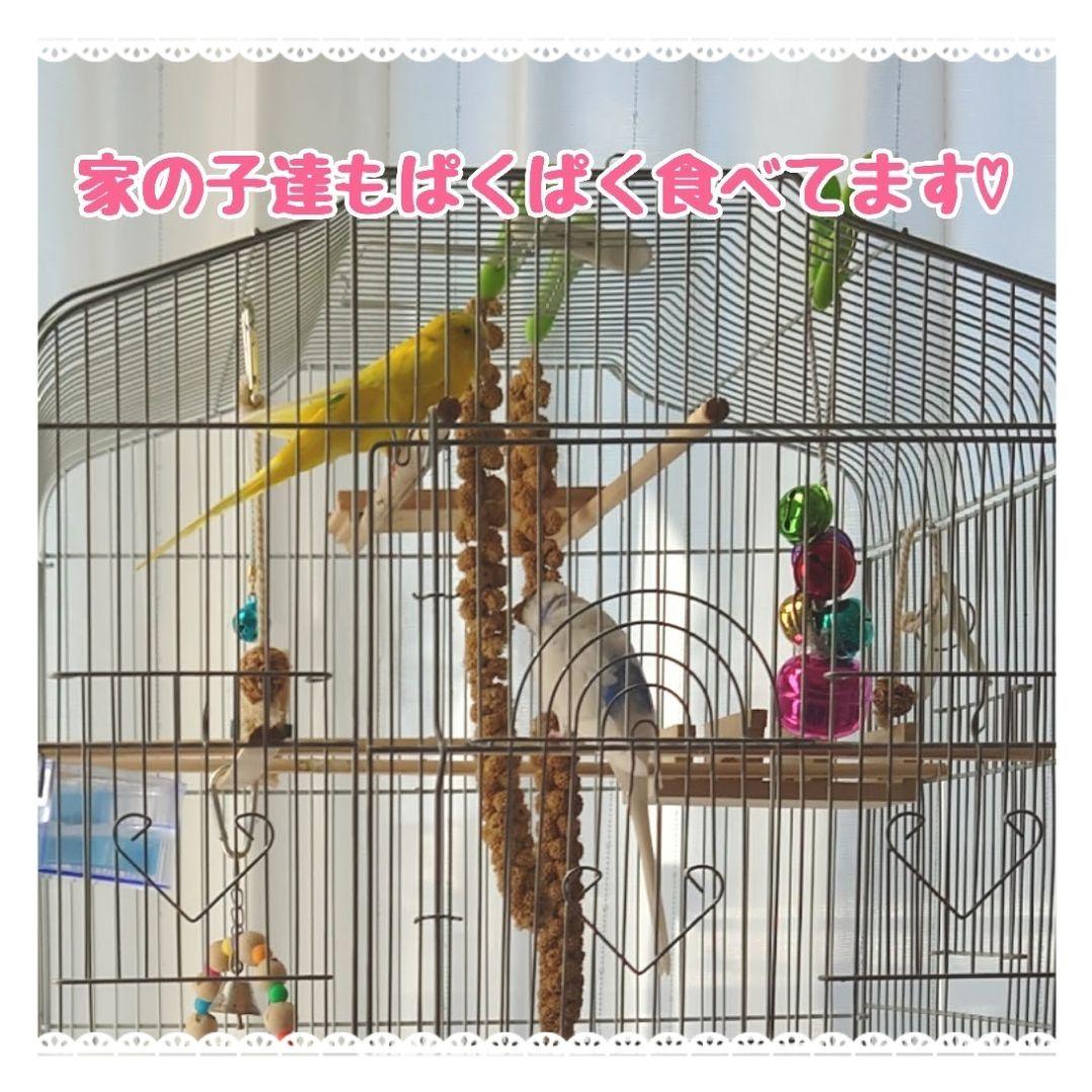 オーダー専用【北海道産】令和3年度 無農薬 粟の穂