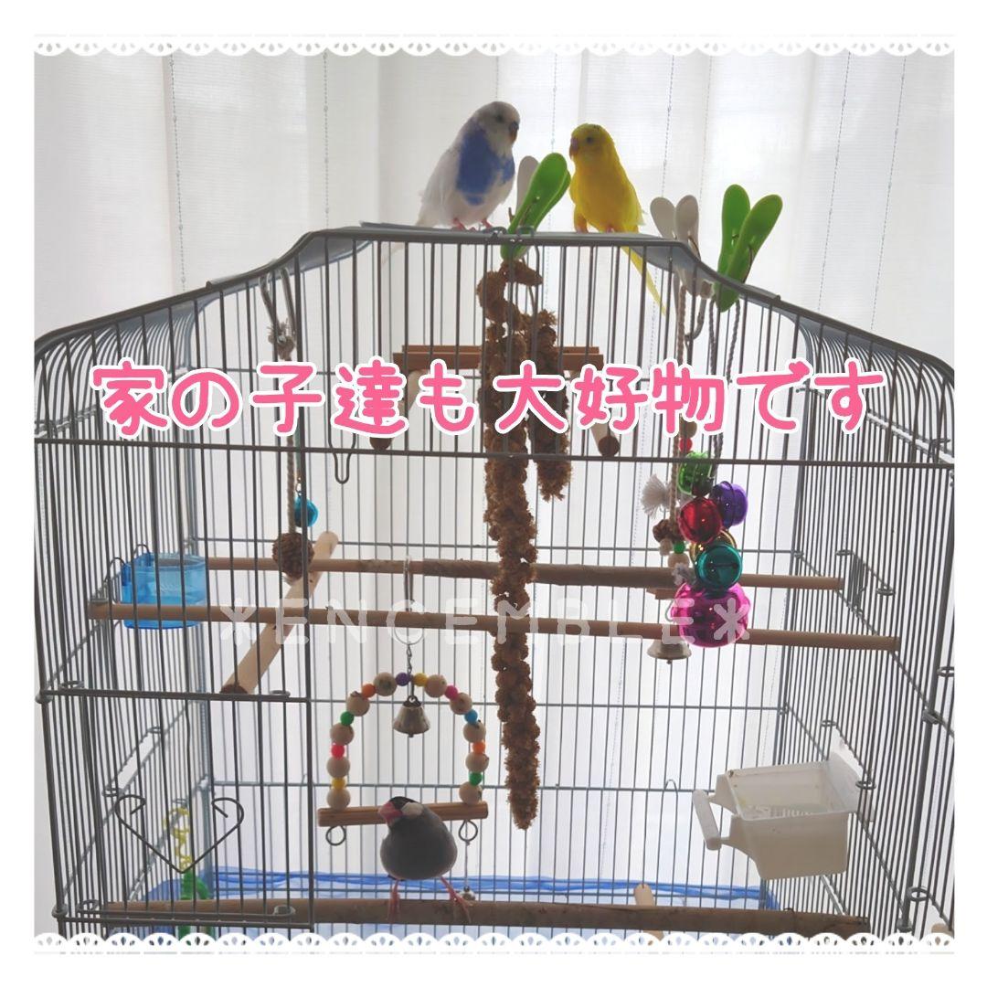 オーダー専用【北海道産】令和3年度 無農薬 粟の穂