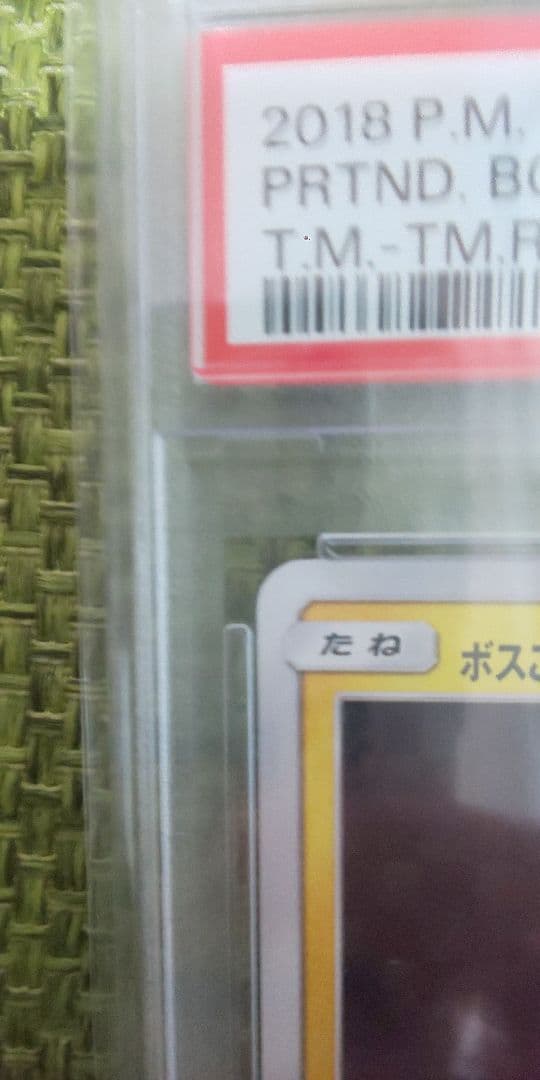 ボスごっこピカチュウ マグマ団 psa10